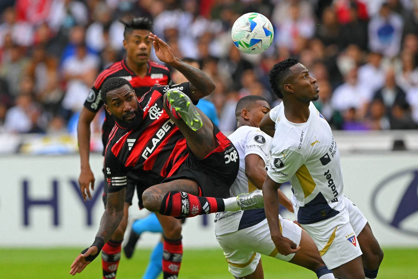 Onde Assistir Flamengo x LDU ao vivo com imagens hoje pela Libertadores