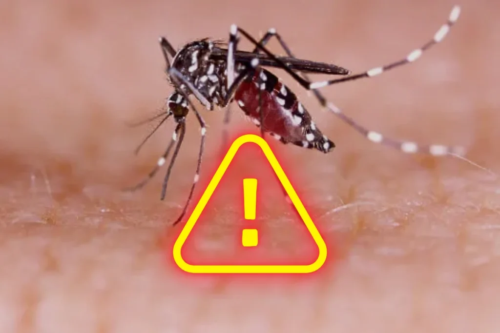 Explosão de Dengue no Brasil: Uma Ameaça Silenciosa que Cresce a Passos Largos!