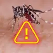 Explosão de Dengue no Brasil: Uma Ameaça Silenciosa que Cresce a Passos Largos!