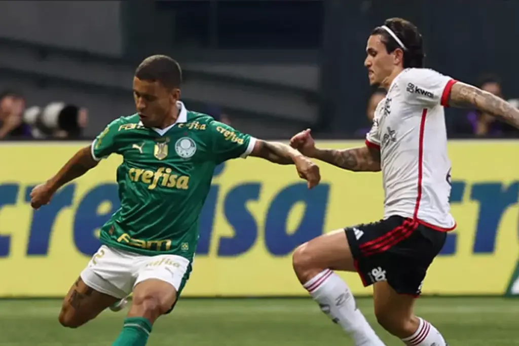 Lance de Palmeiras 1 x 0 Flamengo pela Copa do Brasil