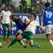 Cruzeiro x Palmeiras: Onde Assistir ao Vivo e Escalações – 07/11