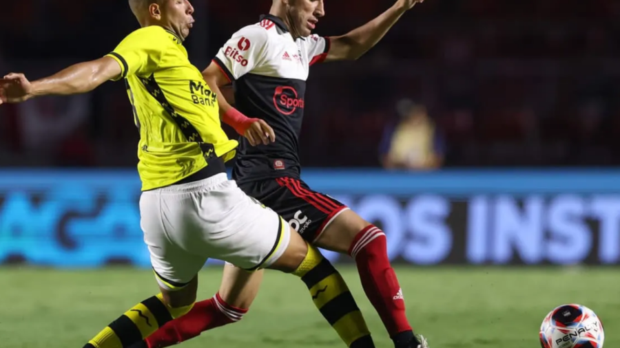 São Bernardo x São Paulo: Onde Assistir Ao Vivo (23/02), Horário, Palpites E Escalações