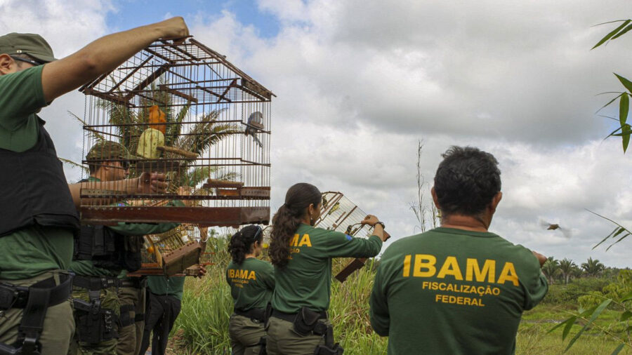 Último dia para inscrições no concurso do Ibama com salários de até R$ 9,9 mil