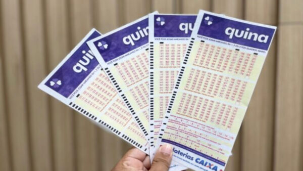 Quina: concurso 6658 sorteia prêmio de R$ 20,5 milhões; veja os números