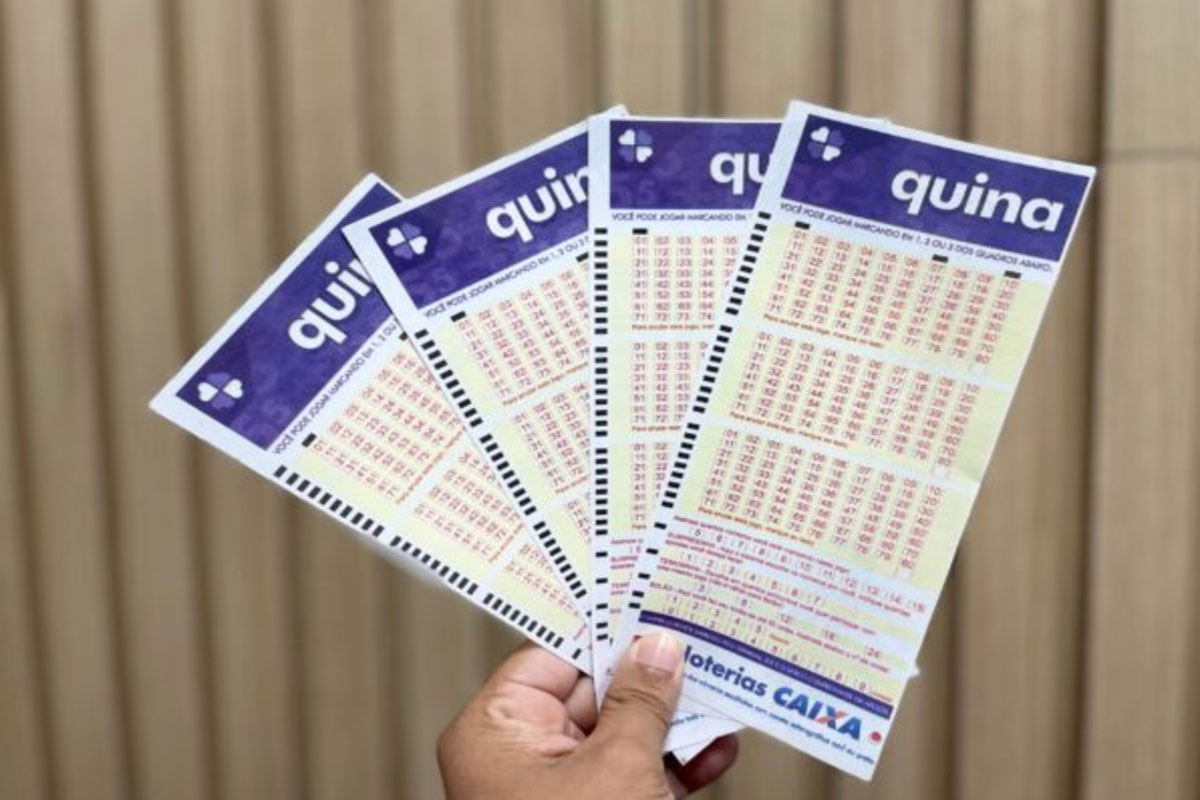 Quina: concurso 6658 sorteia prêmio de R$ 20,5 milhões; veja os números