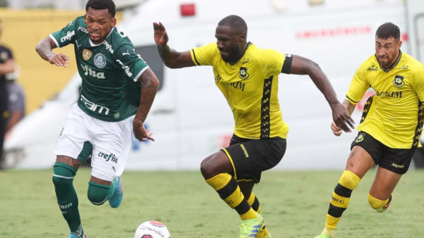 São Bernardo x Palmeiras Ao Vivo: Onde Assistir, Palpites E Escalações | Paulistão 2025