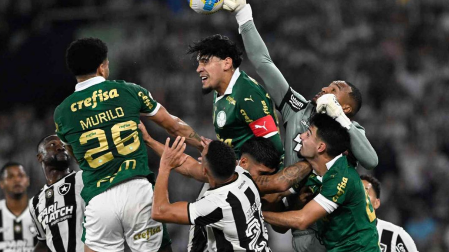 Palmeiras x Botafogo Ao Vivo: Onde Assistir, Palpites e Escalações – Brasileirão 2025