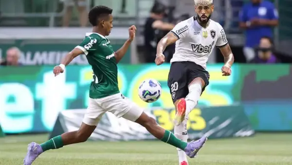 Botafogo x Carabobo Ao Vivo e Online: veja onde assistir, horário e escalações