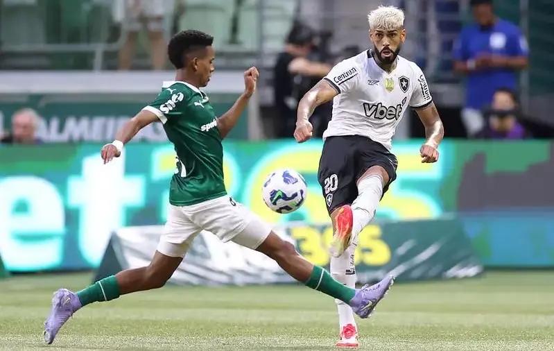 Botafogo x Carabobo Ao Vivo e Online: veja onde assistir, horário e escalações