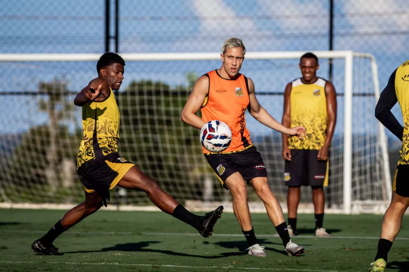 Futebol ao Vivo Hoje (17/05): Onde Assistir Athletic x Novorizontino, Horário e Escalações