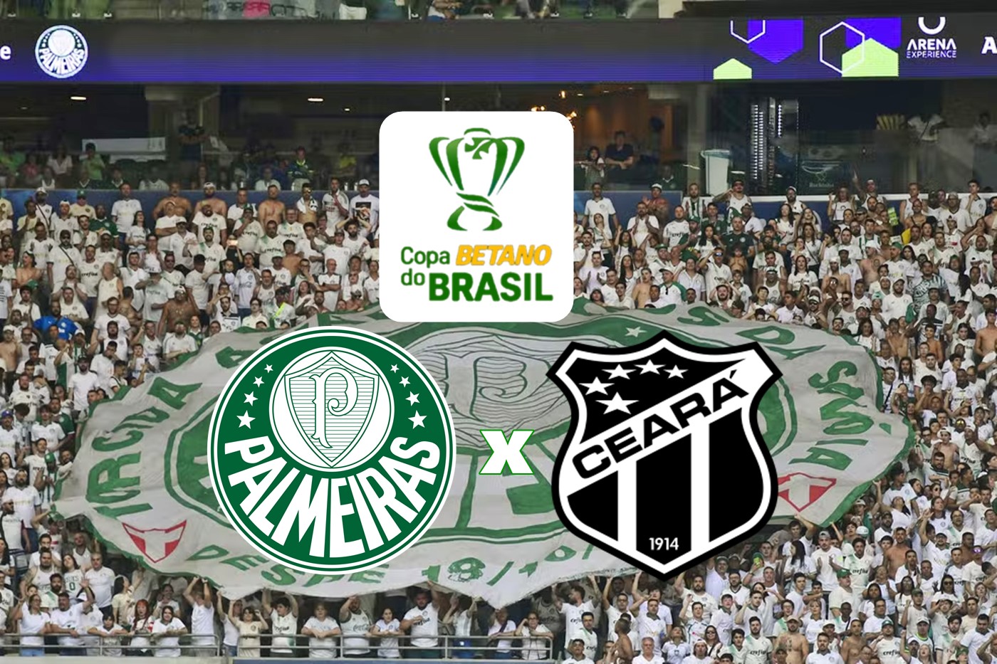 Palmeiras x Ceará hoje ao vivo: Transmissão do jogo da Copa do Brasil, onde assistir?