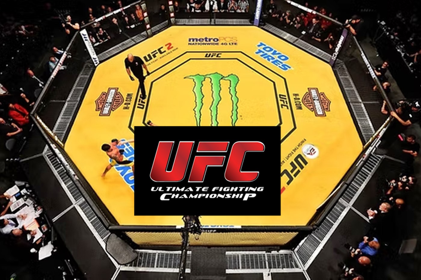 UFC on ESPN: Blanchfield vs. Barber neste sábado: confira todas as lutas e horários