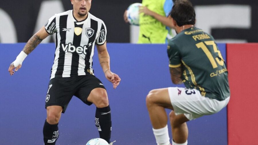 Onde Assistir Ao Jogo do Botafogo Ao Vivo Hoje Pela Libertadores (06/05)