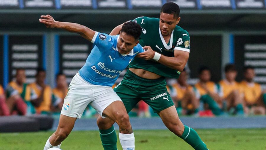 Onde Vai Passar o Jogo do Palmeiras Ao Vivo Hoje (28/05) pela Libertadores 