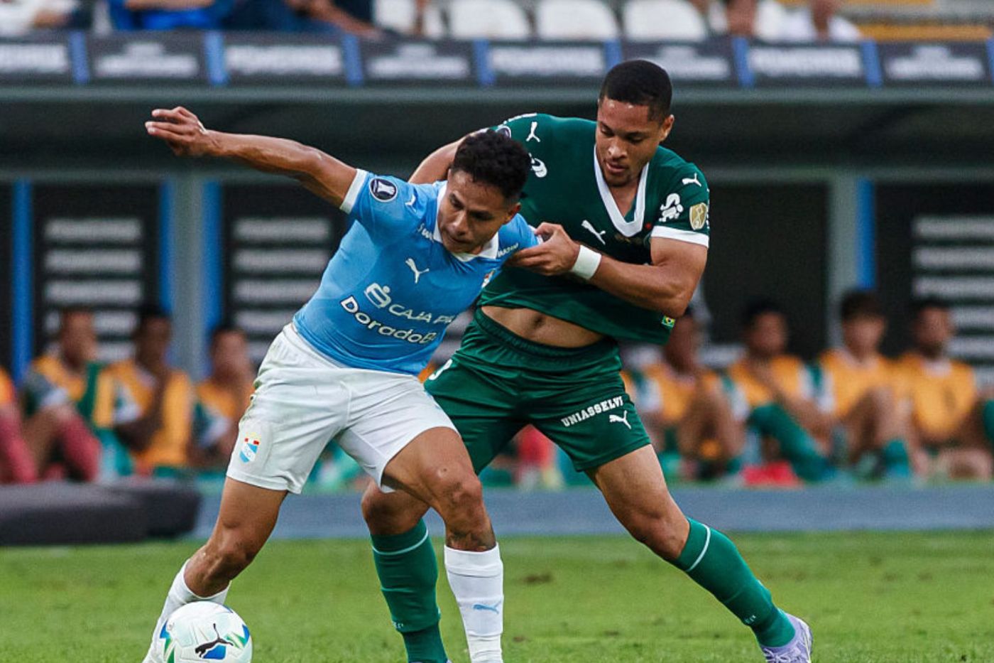 Onde Vai Passar o Jogo do Palmeiras Ao Vivo Hoje (28/05) pela Libertadores 