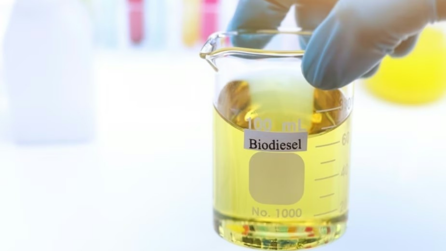 Guerra no Oriente Médio: CNA pede 17% de biodiesel no diesel para frear alta de preços e garantir segurança energética