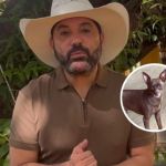 Cachorro do sertanejo Edson, Kiko, é encontrado morto após uma semana desaparecido em SP