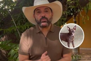 Cachorro do sertanejo Edson, Kiko, é encontrado morto após uma semana desaparecido em SP