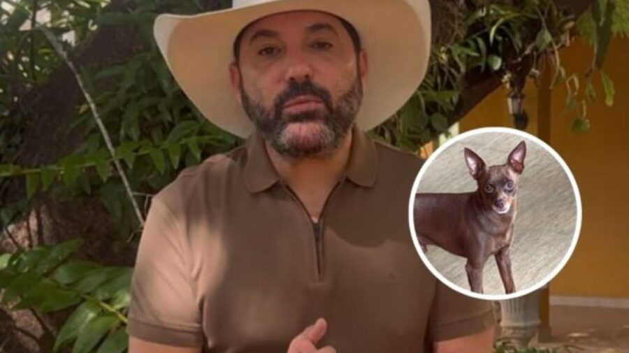 Cachorro do sertanejo Edson, Kiko, é encontrado morto após uma semana desaparecido em SP