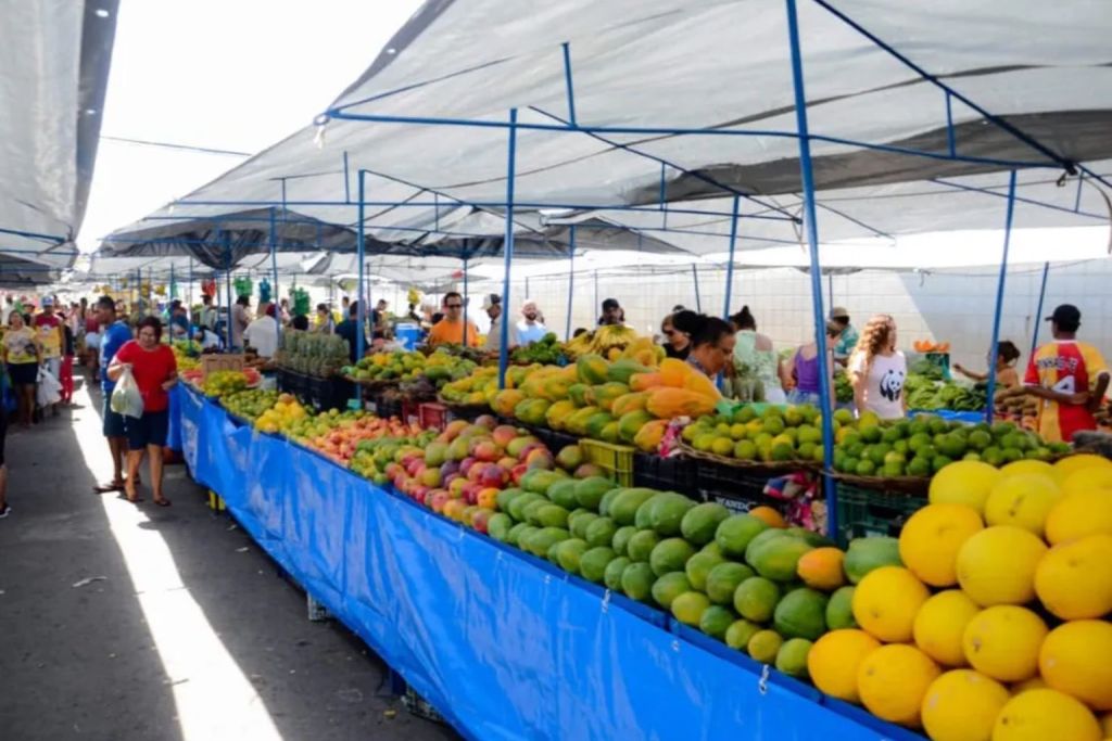 Aracaju: Guia Completo das Feiras Livres e Mercados Municipais – Descubra Onde e Quando Comprar Frescos!