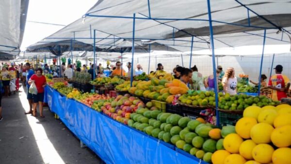 Aracaju: Guia Completo das Feiras Livres e Mercados Municipais – Descubra Onde e Quando Comprar Frescos!
