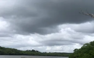 Alerta de Temporal em Sergipe: Chuvas Intensas e Ventos Fortes Assustam Moradores; Acumulado de Chuva Atinge 300mm
