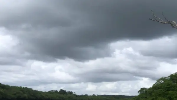 Alerta de Temporal em Sergipe: Chuvas Intensas e Ventos Fortes Assustam Moradores; Acumulado de Chuva Atinge 300mm