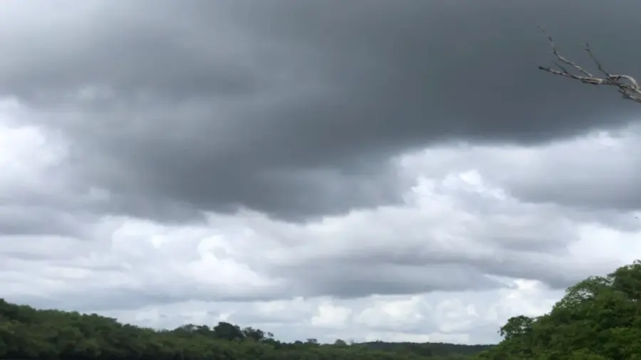 Alerta de Temporal em Sergipe: Chuvas Intensas e Ventos Fortes Assustam Moradores; Acumulado de Chuva Atinge 300mm