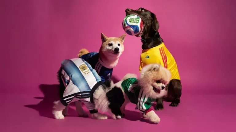 Seu Cão Pode Vestir a Camisa da Argentina ou México no Mundial 2026: Adidas Lança Linha Pet Inspirada nas Seleções!