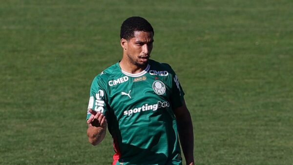 Como chega o Palmeiras para enfrentar o Fluminense