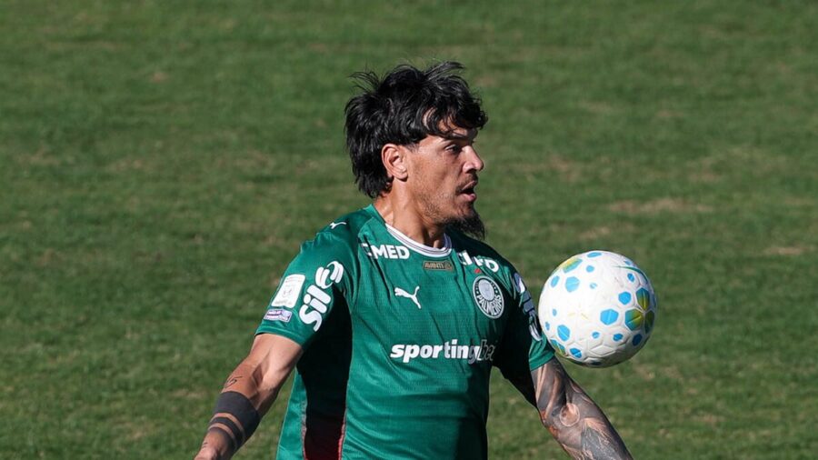 Como chega o Palmeiras para enfrentar o Internacional