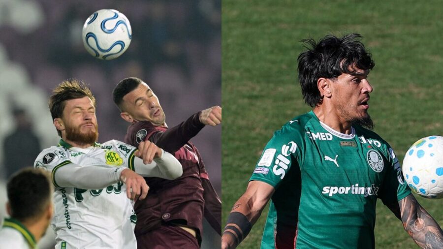 Onde Assistir Mirassol x Palmeiras Ao Vivo Hoje (30/08) Pelo Brasileirão