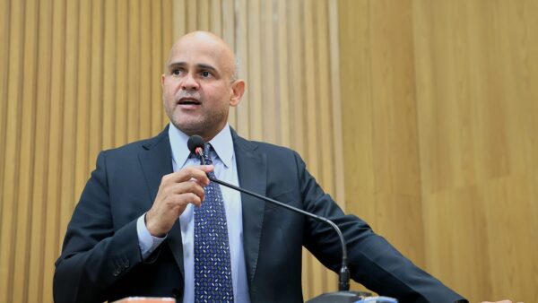 Por unanimidade, Câmara de Aracaju aprova Selo “Cão Orelha” de autoria do vereador Alex Melo