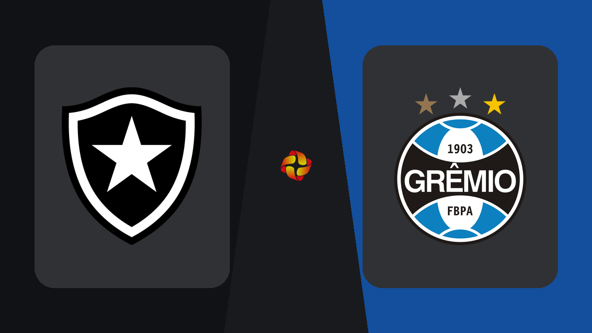 Botafogo x Grêmio: onde assistir ao vivo, horário e detalhes do jogo