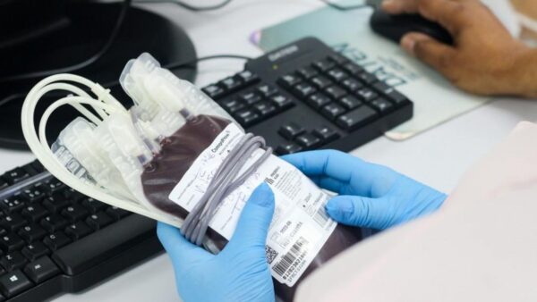 Hemose abre neste sábado, das 7h às 11h, para doação de sangue