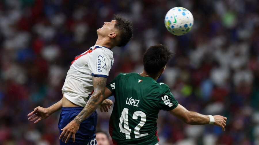 Palmeiras x Bahia: onde assistir ao vivo, horário e local do jogo